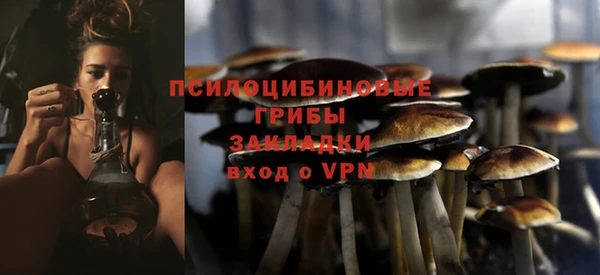 соль ск Вяземский
