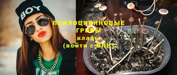 соль ск Вяземский