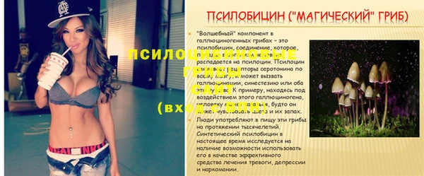 хмурый Вязьма