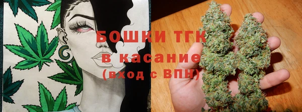 соль ск Вяземский
