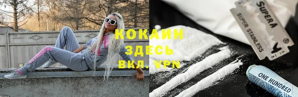 соль ск Вяземский