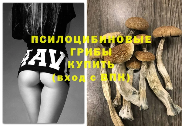 хмурый Вязьма