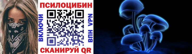 Галлюциногенные грибы Psilocybine cubensis  Купить где  Мурино 